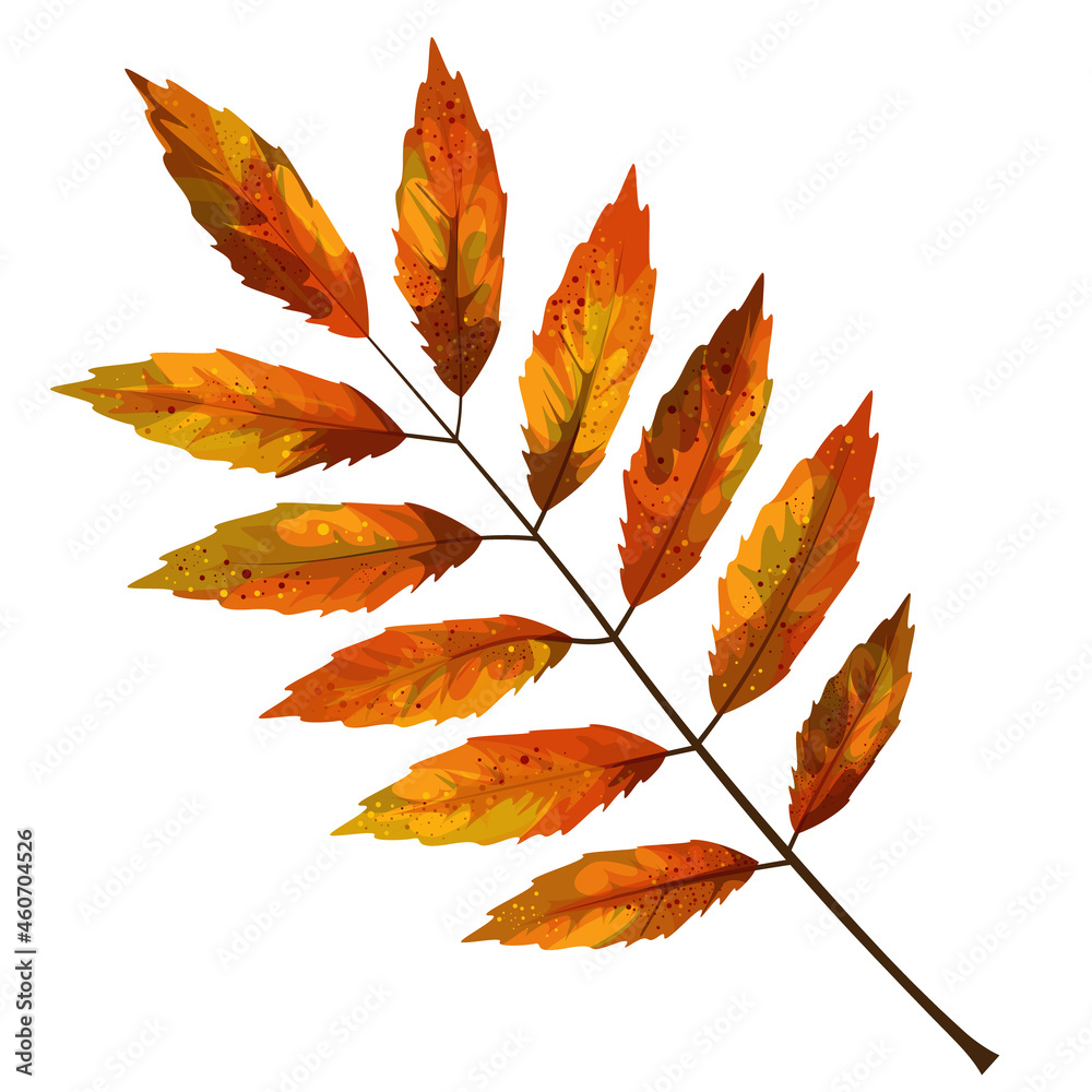 Vector realism of a stylized autumn leaf on a white background. EPS 10. Concept. Cartoon Vector realism of a stylized autumn leaf on a white background. EPS 10. Concept. Cartoon