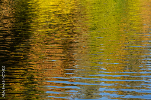 reflection in water in autumn