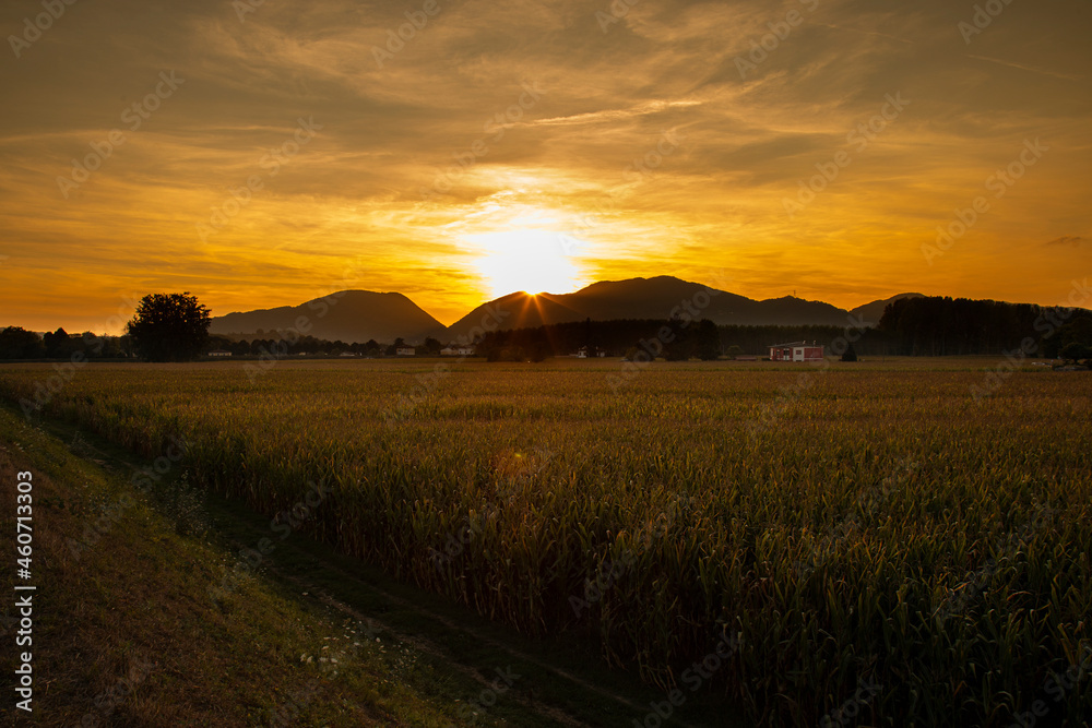 beautiful autumn sunset over corn . fields i Tuscany of Italy