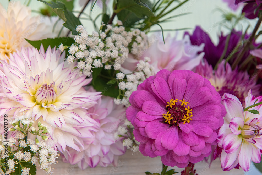 Dahlia and Zinnia Flower Arrangement Dahlia and Zinnia Flower Arrangement