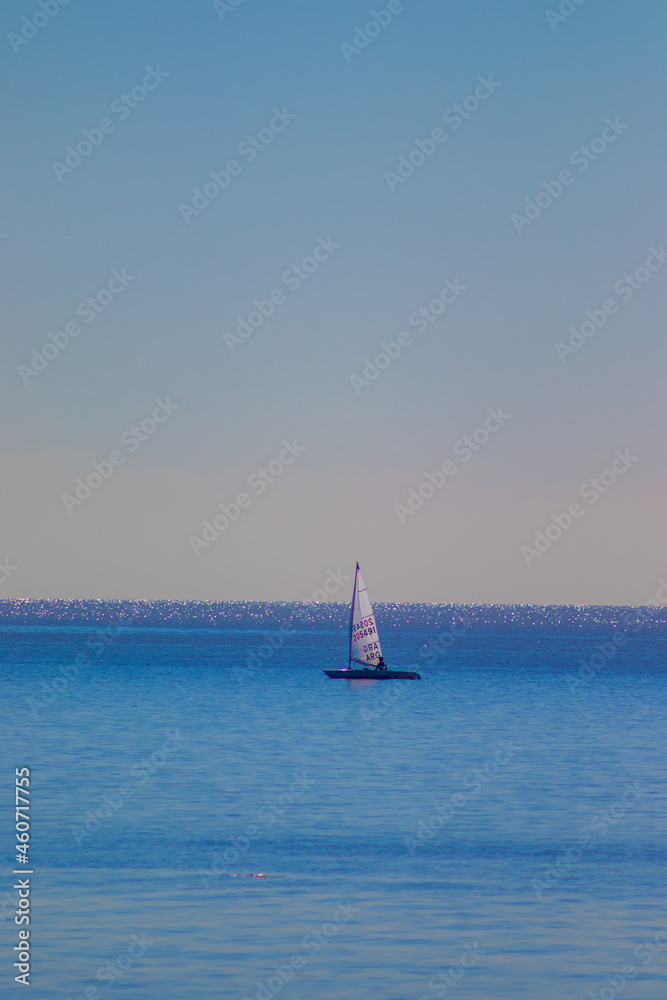 Fototapeta premium barco velero rio mar navegar