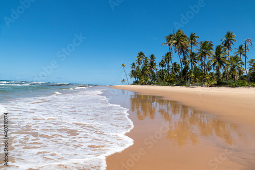 Idyllic beach with crystal clear water in Taipus de Fora, Marau, State of Bahia, Brazil