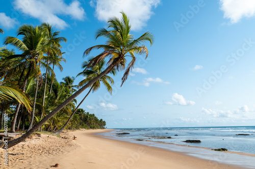Fototapeta Naklejka Na Ścianę i Meble -  Idyllic beach with crystal clear water in Taipus de Fora, Marau, State of Bahia, Brazil