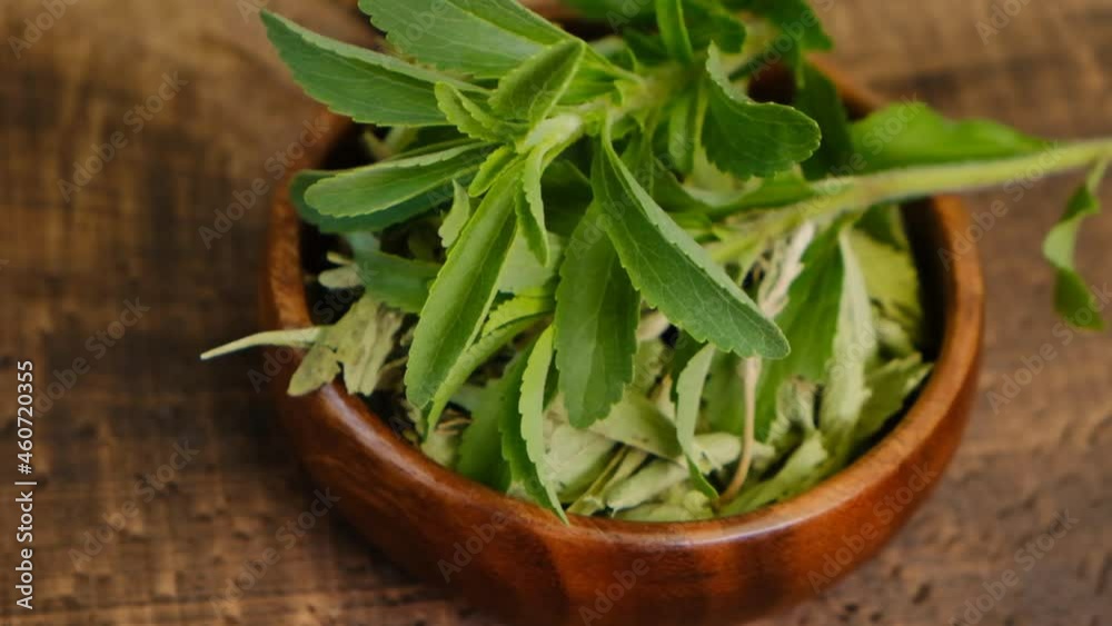 Stevia rebaudiana.Dry and fresh stevia in a wooden round cup on a wooden table.Organic natural low calorie sweetener. High quality 4k footage Stevia rebaudiana.Dry and fresh stevia in a wooden round cup on a wooden table.Organic natural low calorie sweetener. High quality 4k footage