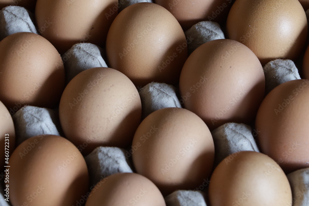 selective focused : rows of chicken eggs that form a beautiful pattern selective focused : rows of chicken eggs that form a beautiful pattern
