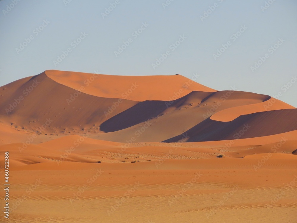 Curving Dunes in the Heart of the Namib Desert