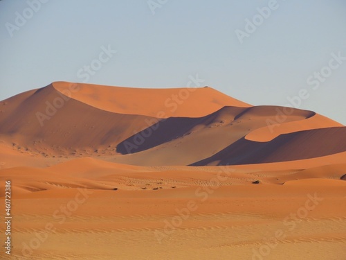 Curving Dunes in the Heart of the Namib Desert