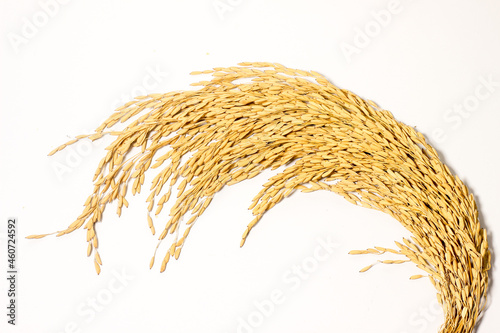 cereal grains on a white background