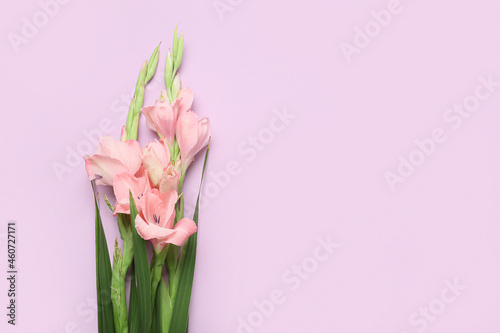 Gorgeous gladiolus flowers on color background © Pixel-Shot