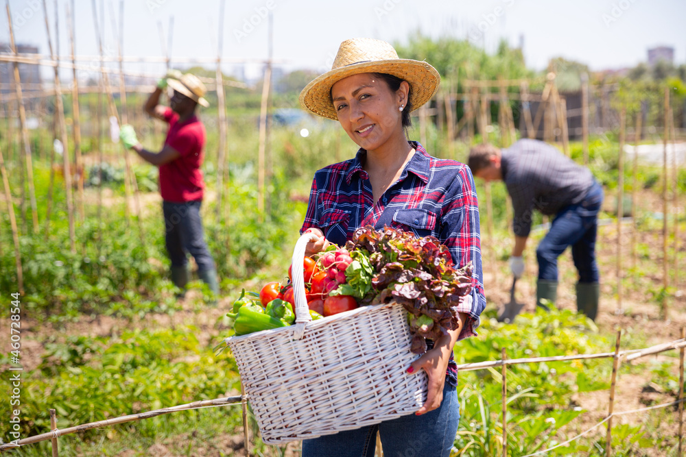 Fototapeta premium Young woman gardener holding basket with harvest of fresh vegetables in rural
