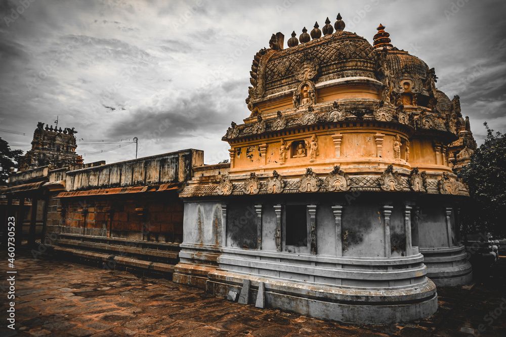 Fototapeta premium Thirupparuthikundram Jain temple or Jeenaswamy Trilokyanathar temple, is an 8th-century Digambara Jain temple in Thiruparthikundram, in northeast Kanchipuram in Tamil Nadu, India. Archeological site.