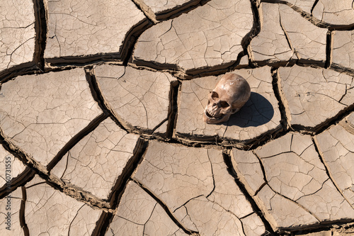 A dummy of a human skull lies on clay cracked from the heat in the desert