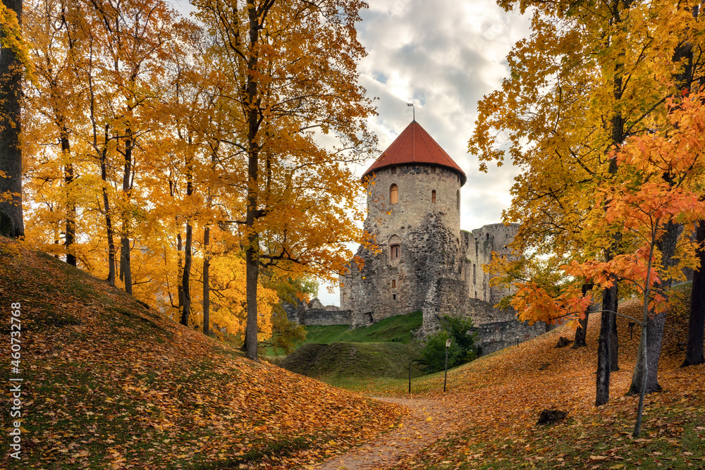 Autumn color. Leaves. Cesis. Latvia. 