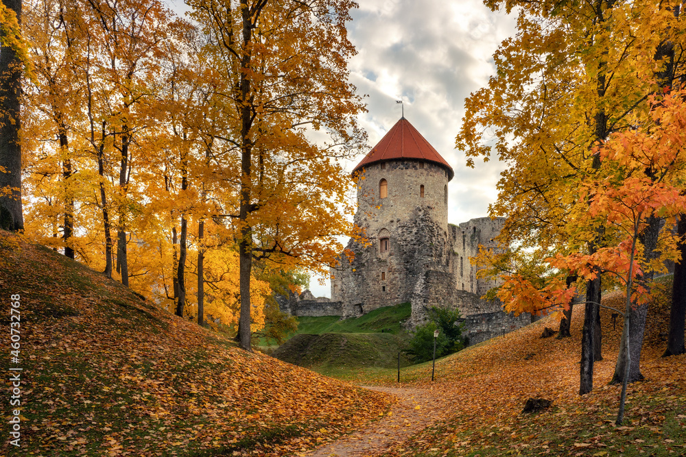 Obraz premium Autumn color. Leaves. Cesis. Latvia. 