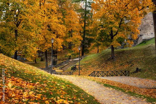 Autumn color. Leaves. Cesis. Latvia. 