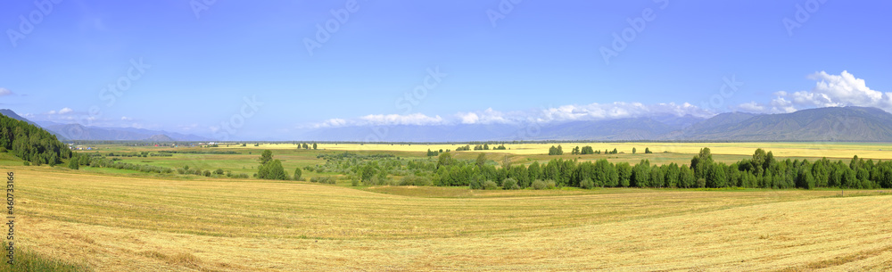 Uymon valley in the Altai mountains