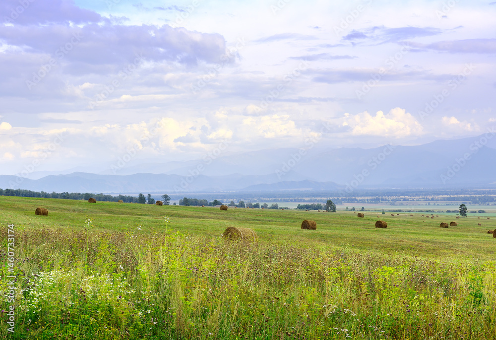 Uymon valley in the Altai mountains