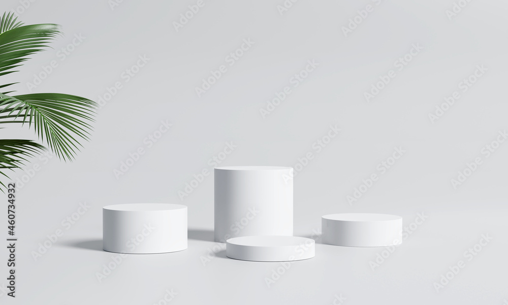 White product display podium with nature leaves. 3D rendering White product display podium with nature leaves. 3D rendering