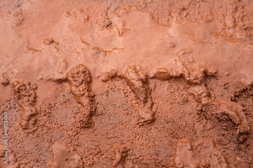 Dirt terrain road with wheel track on wet muddy surface. Transportation and road way  background and texture photo. Selective focus at the center part.