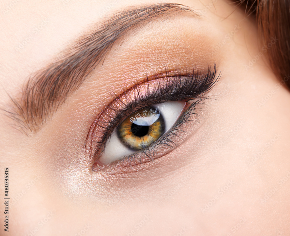 Closeup macro shot of human female eye with pink eyes shadows Closeup macro shot of human female eye with pink eyes shadows