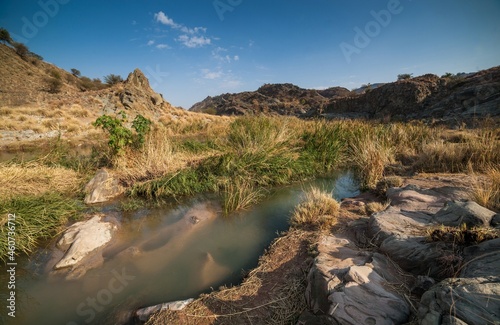 Crocodile like stone under water in sunlight at day with rocks and grass around the water and clear sky in background