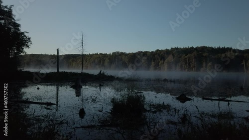 Morning mist rises from Lee Lake in Limberlost Forest photo