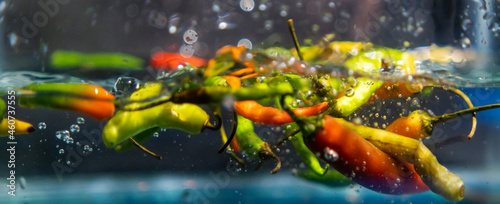 Multicolor fresh chili peppers falling deep in water with splash