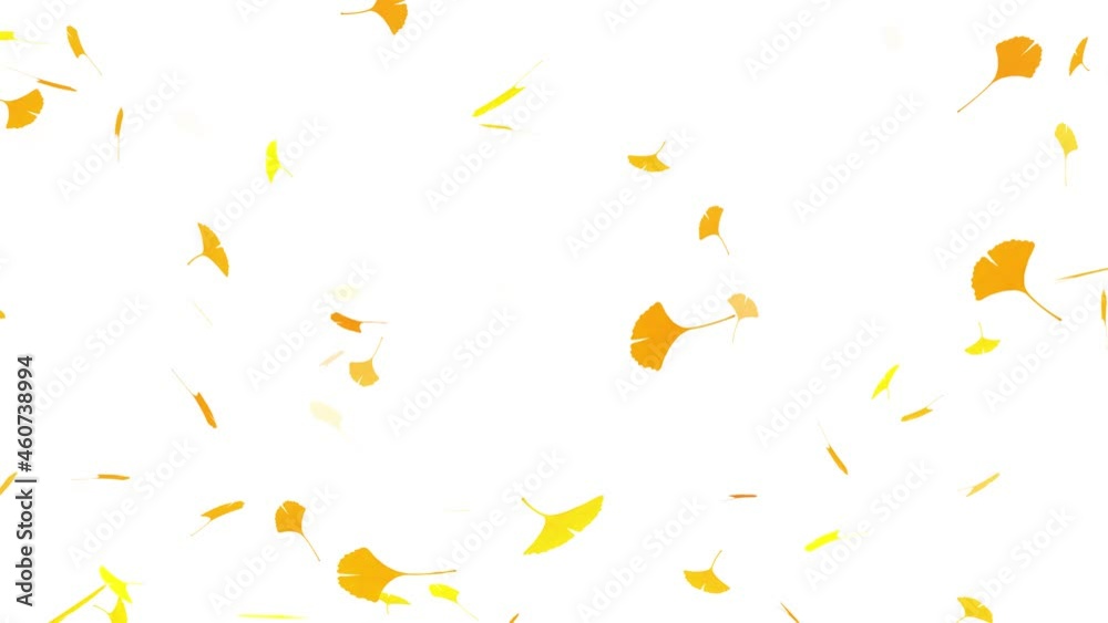 Fallen leaf loop video material Fallen leaf loop video material