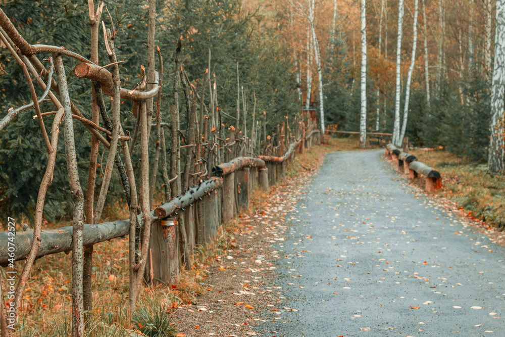 Fototapeta premium A view of the road along a beautiful fence made of branches with fallen leaves against the backdrop of an autumn forest. The road in the park in autumn