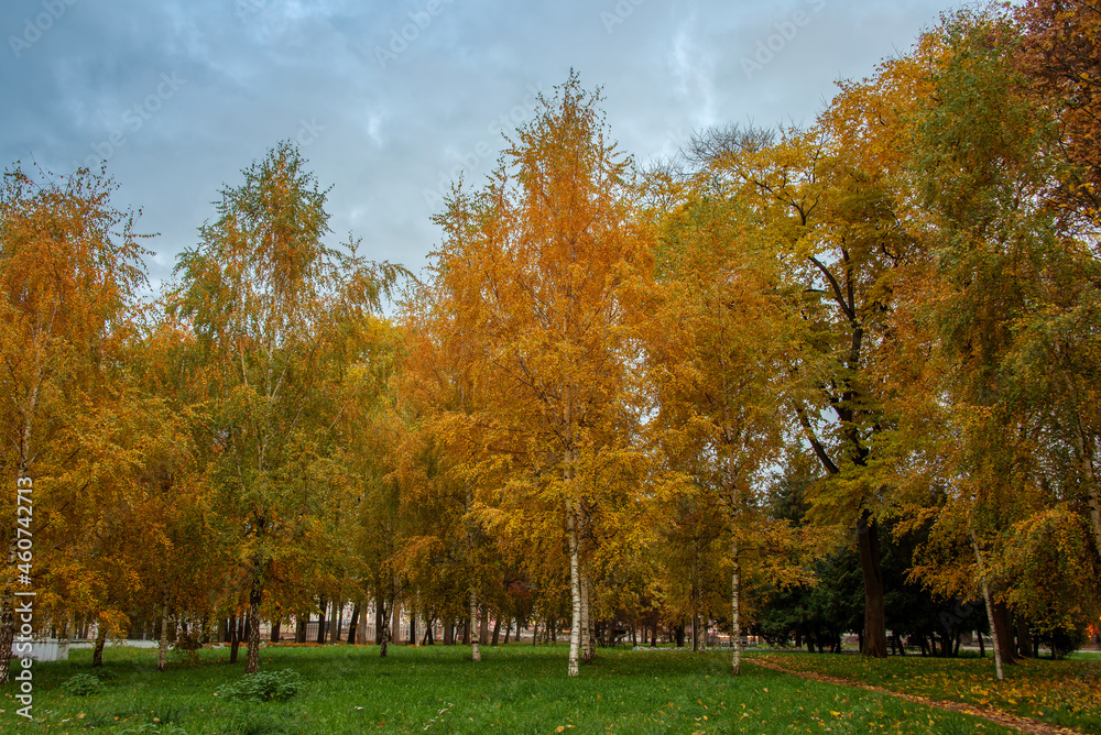 Trees with orange, yellow and red autumn leaves in a city park in early autumn.