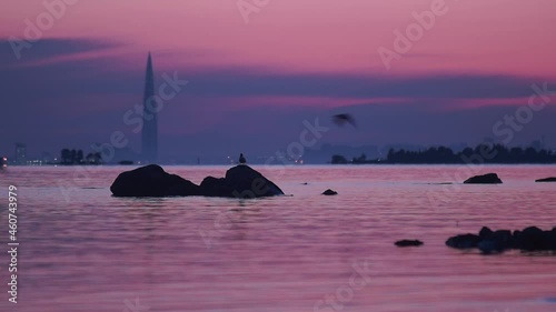 Seascape with birds in front of skyscraper at twilight photo