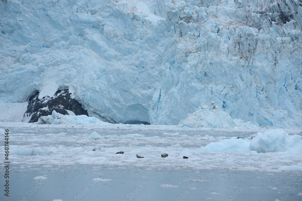 tidewater glacier