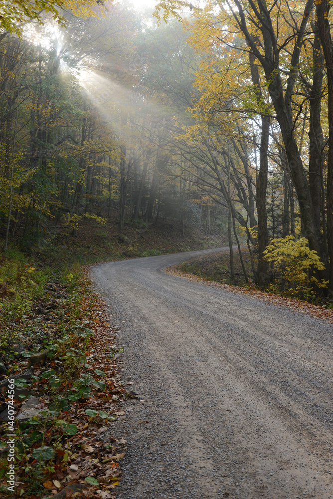 Fototapeta premium west viginia autumn