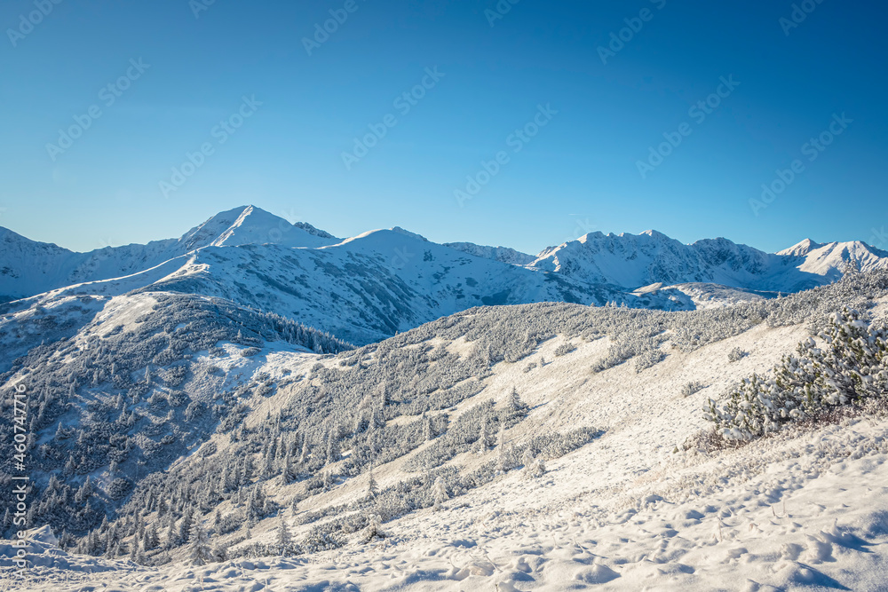 Amazing Western Tatra panorama, Poland. Rocky ridge, clear blue sky, small trees and bushes growing on a slope. Selective focus on the details, blurred background.
