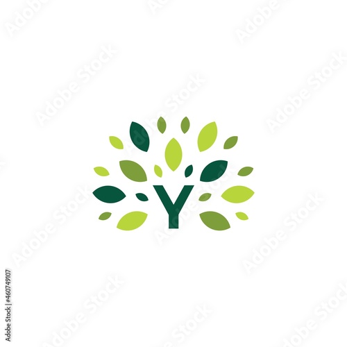 y letter tree leaf nature mark green logo vector icon illustration