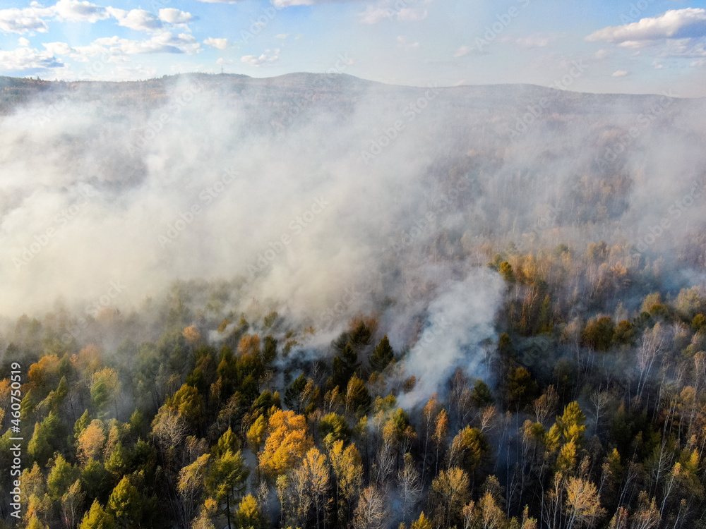 forest fire in autumn deciduous forest, top view, flat lay, scorched earth, smoke, natural disaster screensaver, aerial
