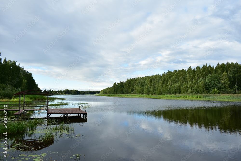 Fototapeta premium lake and forest