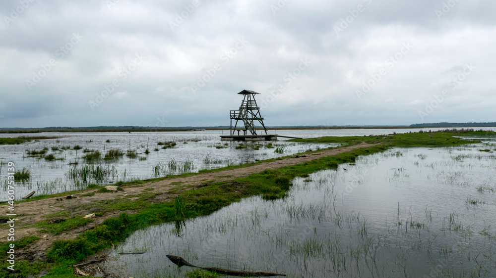 view of bird watching tower, cloudy day, gray clouds, landscape with lake and reeds by the lake