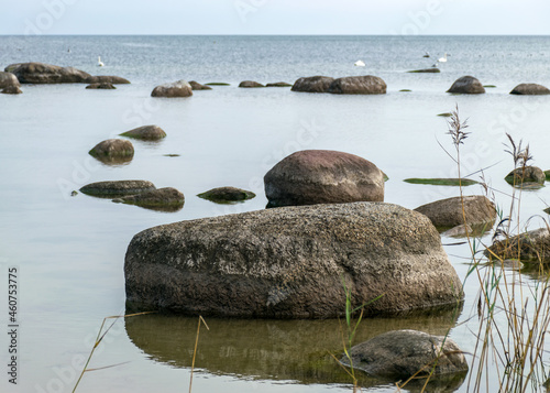 The unusual landscape of Kaltene beach, formed by large boulders covering the coast, morning hour, Kaltene rocky seashore, Latvia photo