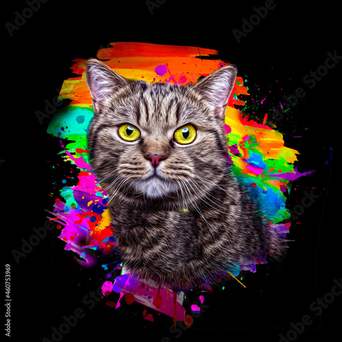 cat head with creative colo...