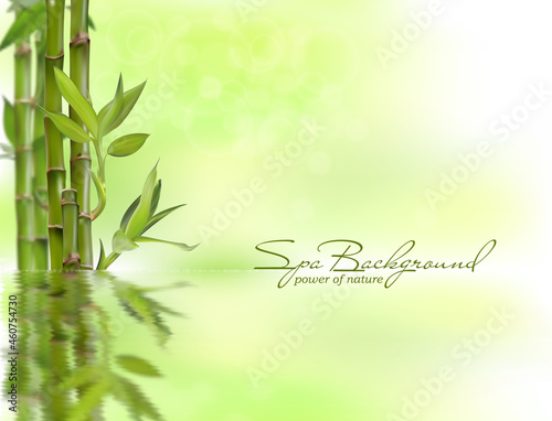 Background of natural spa with plant and reflection in the water. Realistic vector  3d illustration