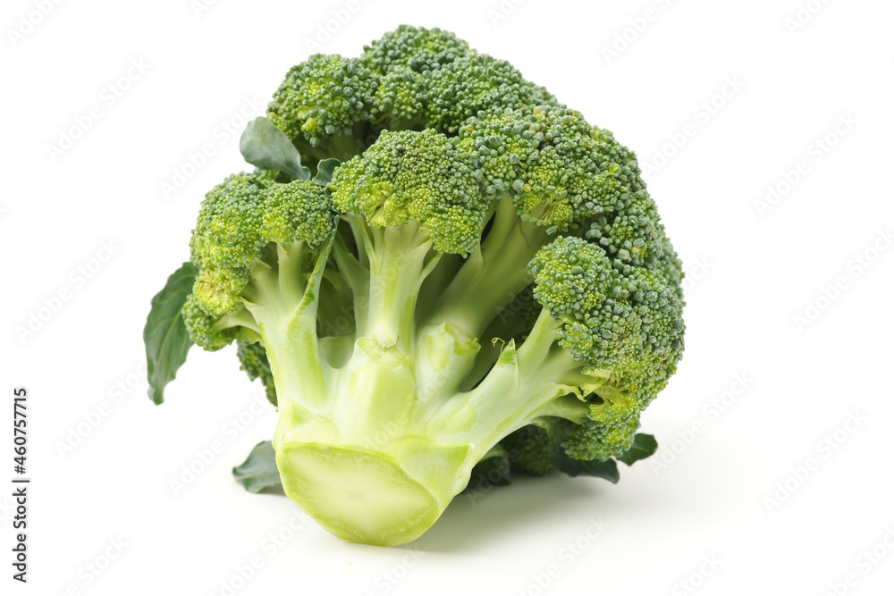 Broccoli vegetable on white background Broccoli vegetable on white background