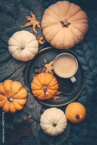 Autumn fla tlay with cup of coffee, pumpkins and cuddle blanket photo