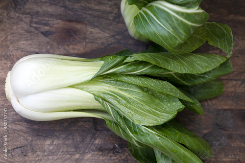 Принти на полотні Bok choy, Chinese cabbage with round, round and open leaves