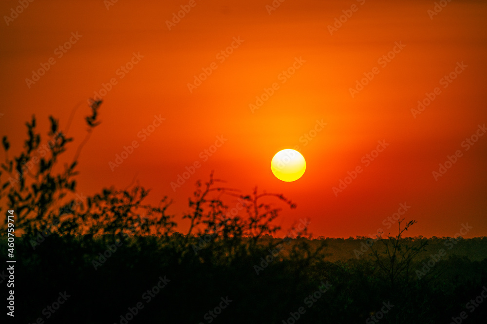 Fototapeta premium sunset over the field