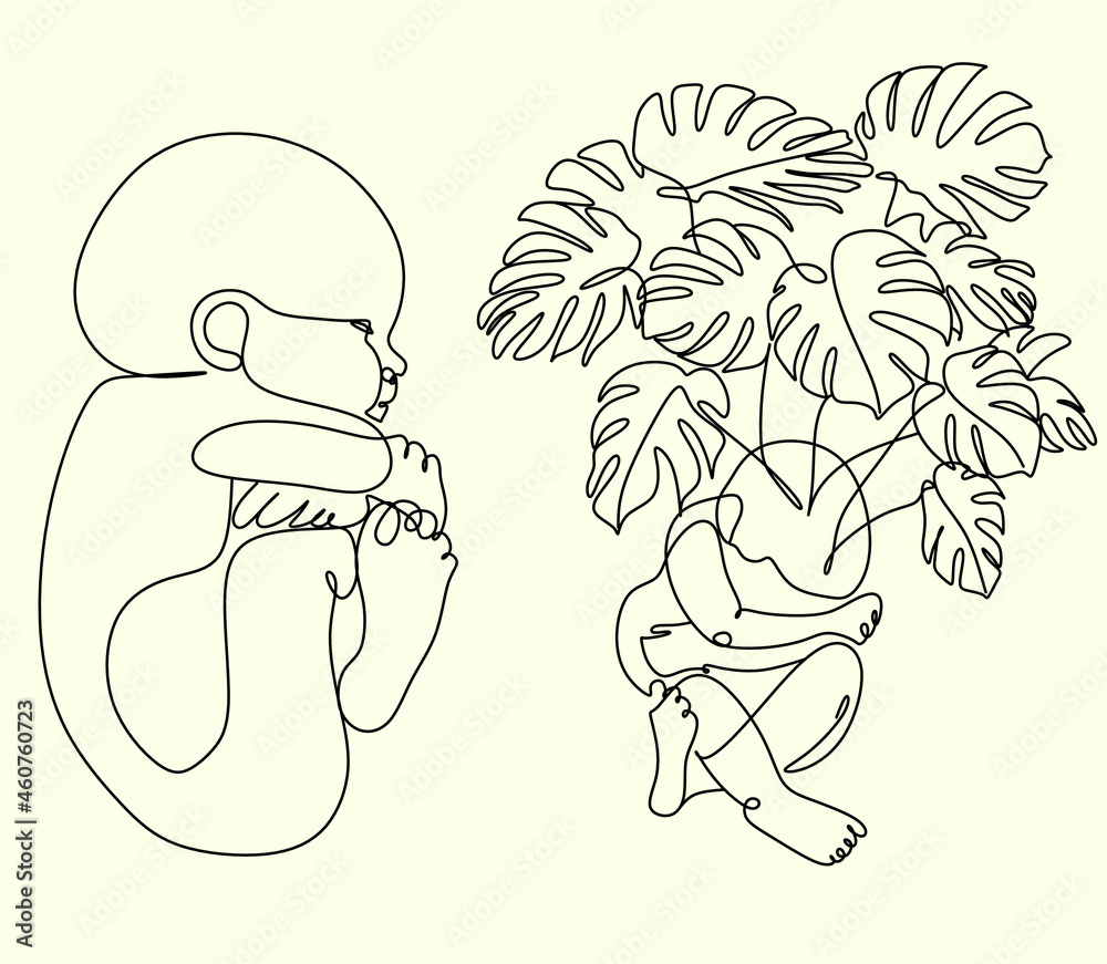 Obraz premium One line drawing illustration of a baby. Newborn Vector illustration
