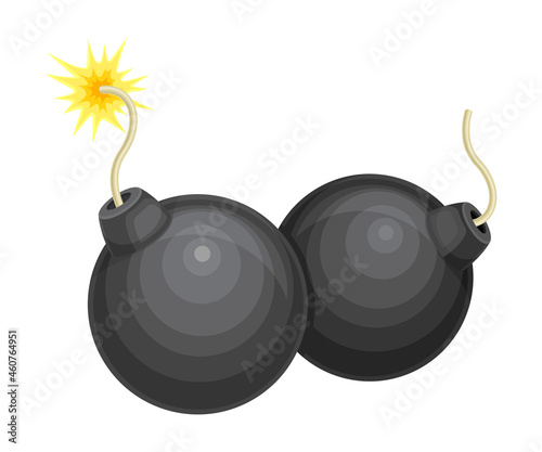 Pair of round bomb with wick vector illustration on white background