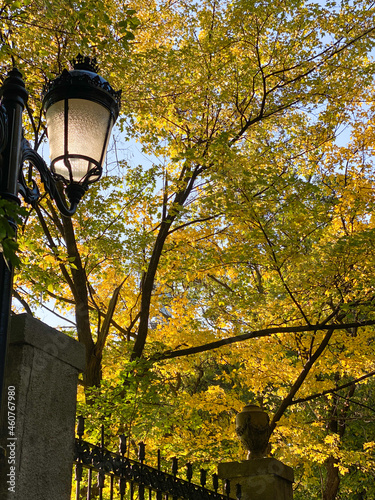 autumn in the park