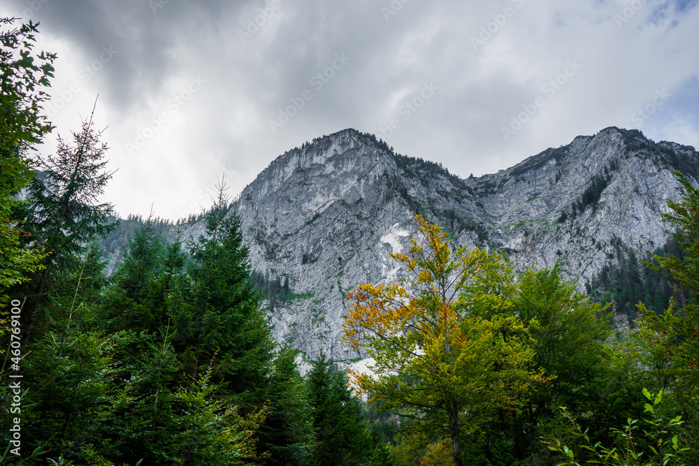 Ein Berg mit Bäumen im Vordergrund und grauen Gewitterwolken in österreich. Natur.