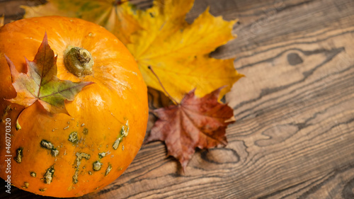 Pumpkin with autumn leaves on wooden background. Copy space